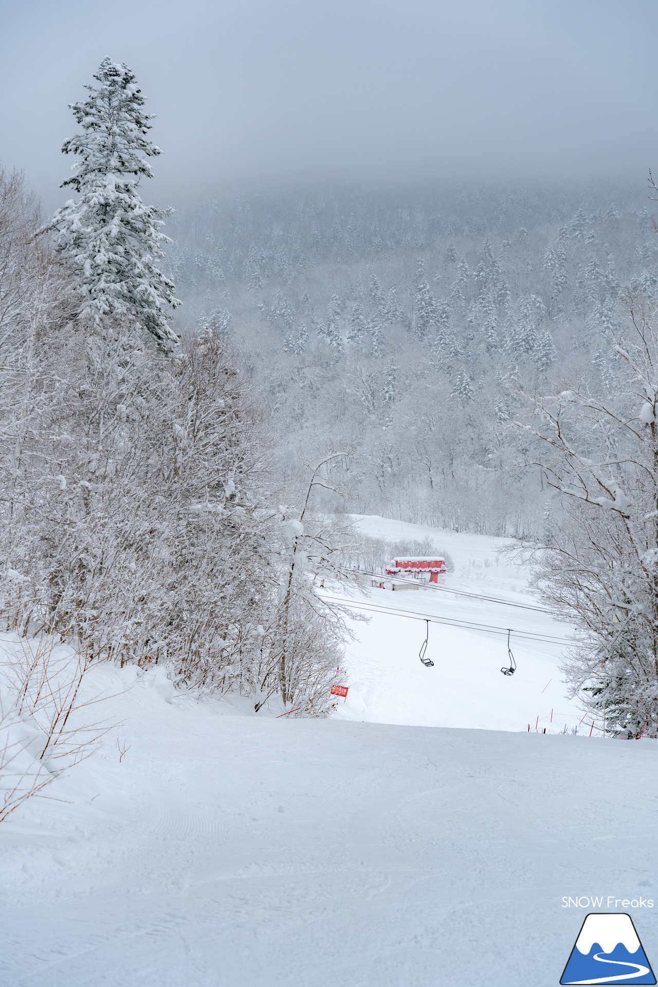 名寄ピヤシリスキー場｜名寄市のキャッチフレーズは『雪質日本一』。暖気の日こそ、その実力を発揮します！